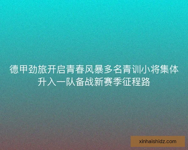 德甲劲旅开启青春风暴多名青训小将集体升入一队备战新赛季征程路